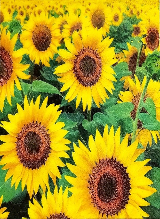 Importer AM Sunflower Napkins Disposable Decoupage Luncheon Paper Napkins -13" x 13" (Unfolded) Field of Sunflowers - Image 1
